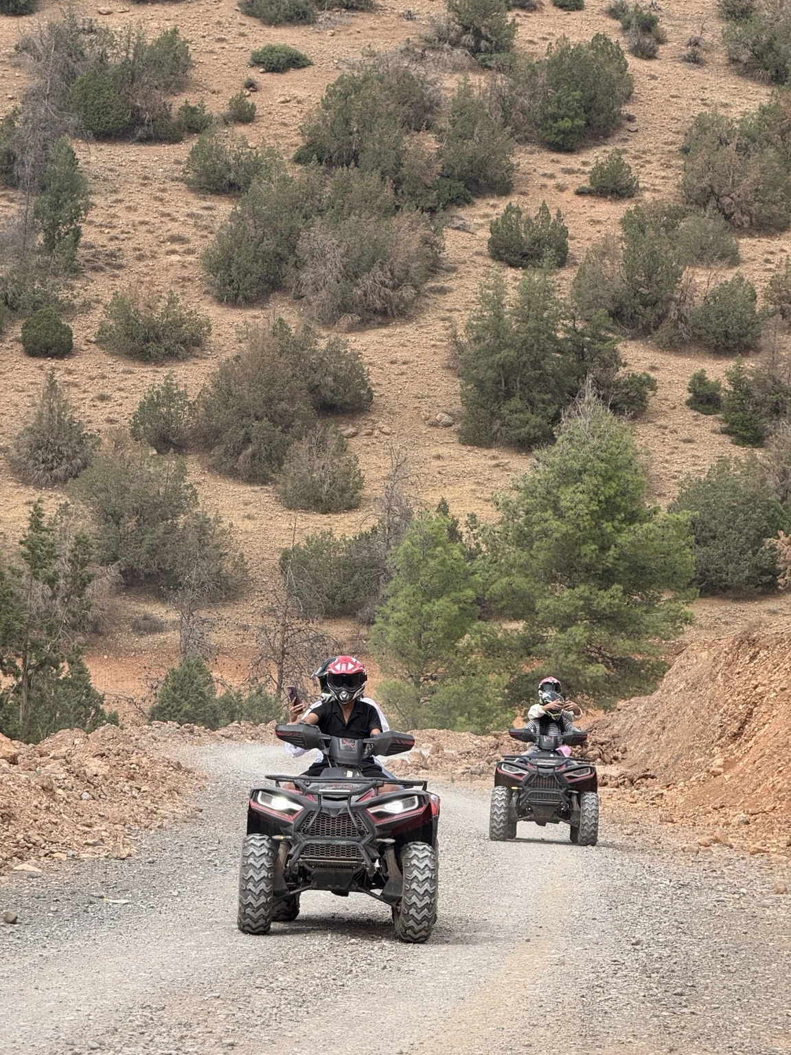Quad Imsfrane