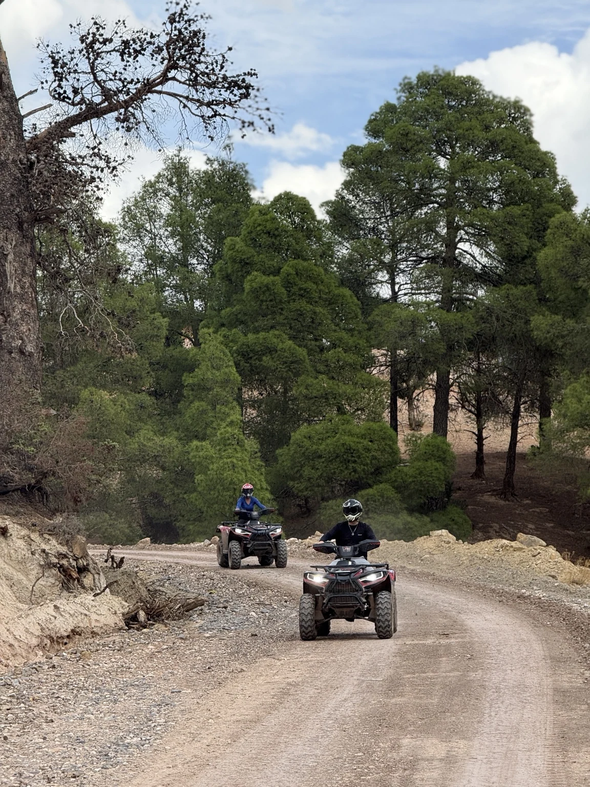 Quad Imsfrane