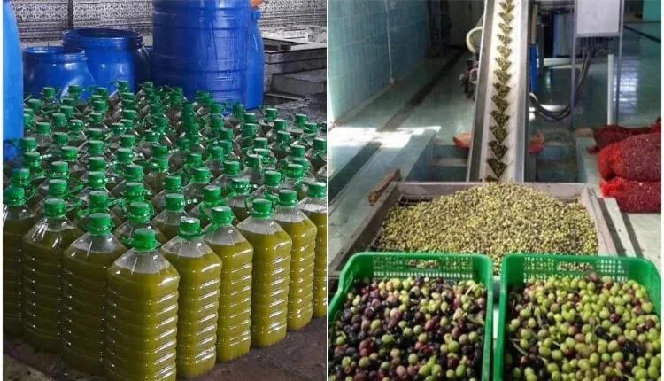 Huile d’olive traditionnelle de l’Atlas